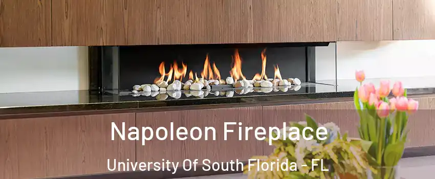 Napoleon Fireplace University Of South Florida - FL