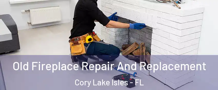 Old Fireplace Repair And Replacement Cory Lake Isles - FL