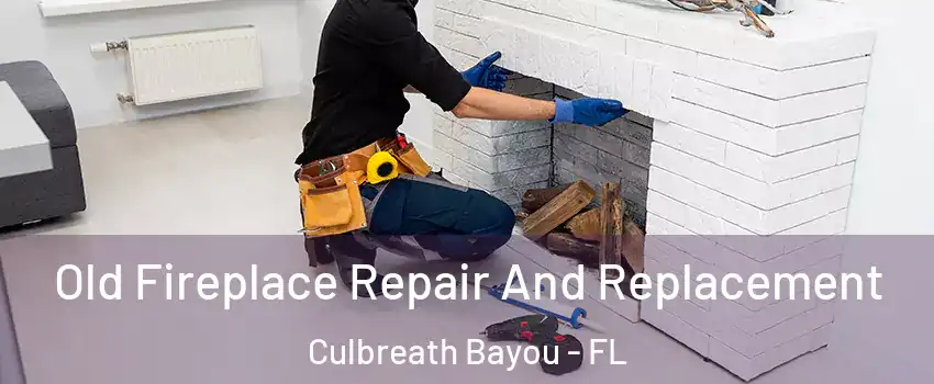 Old Fireplace Repair And Replacement Culbreath Bayou - FL