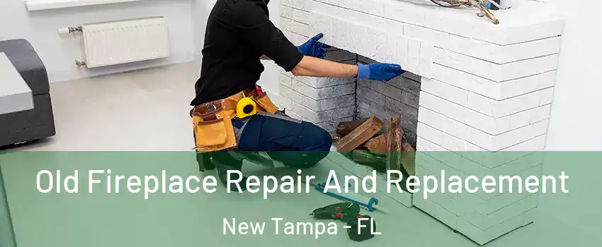 Old Fireplace Repair And Replacement New Tampa - FL