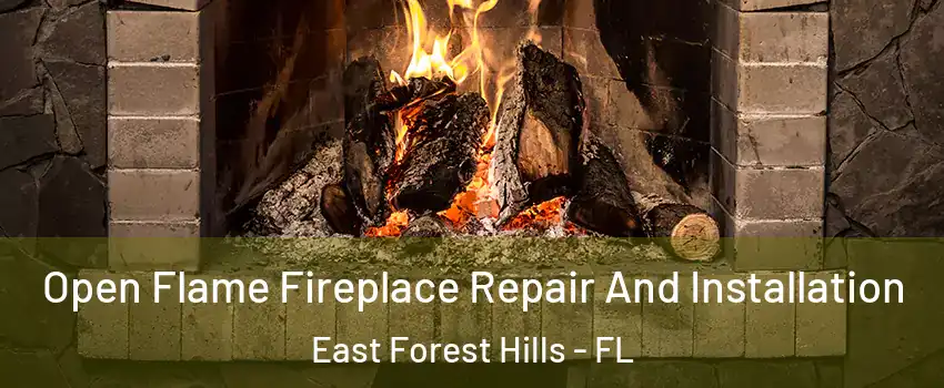 Open Flame Fireplace Repair And Installation East Forest Hills - FL