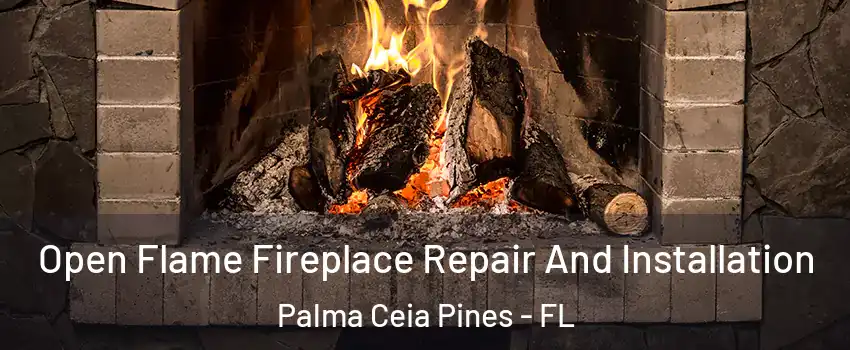 Open Flame Fireplace Repair And Installation Palma Ceia Pines - FL