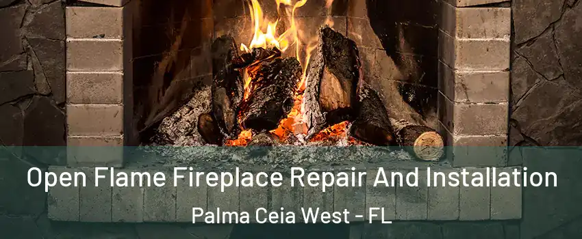 Open Flame Fireplace Repair And Installation Palma Ceia West - FL