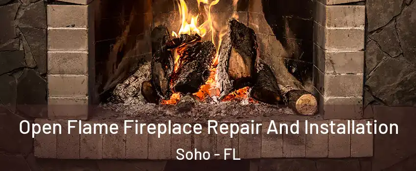 Open Flame Fireplace Repair And Installation Soho - FL