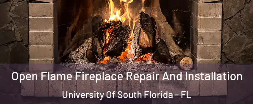 Open Flame Fireplace Repair And Installation University Of South Florida - FL
