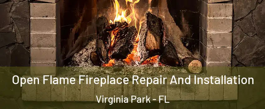 Open Flame Fireplace Repair And Installation Virginia Park - FL
