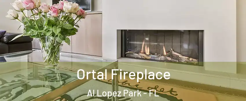 Ortal Fireplace Al Lopez Park - FL