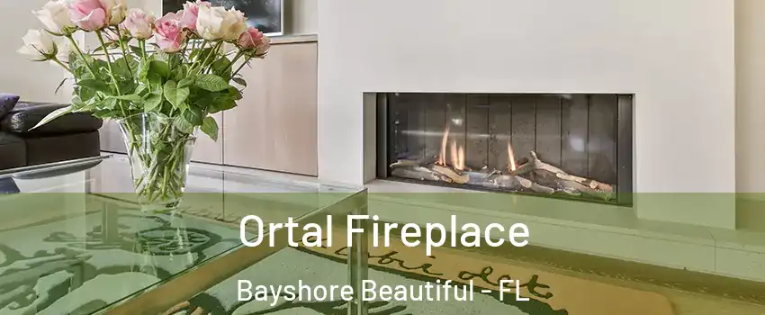 Ortal Fireplace Bayshore Beautiful - FL