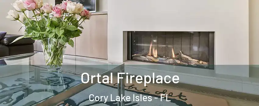Ortal Fireplace Cory Lake Isles - FL