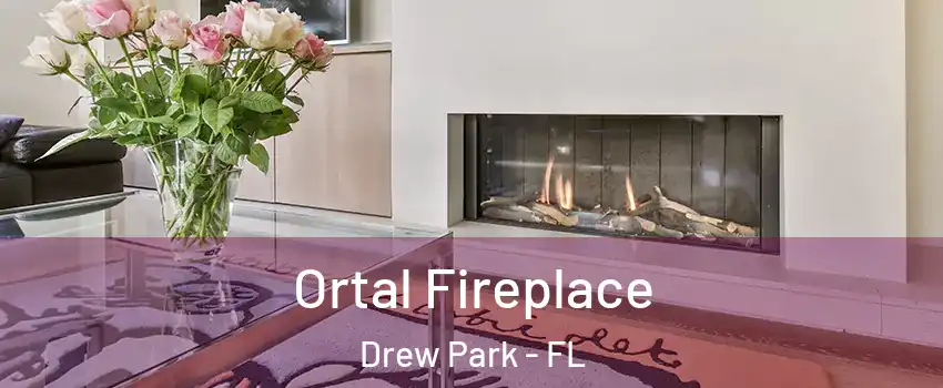 Ortal Fireplace Drew Park - FL