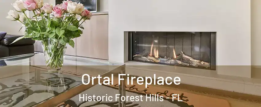 Ortal Fireplace Historic Forest Hills - FL