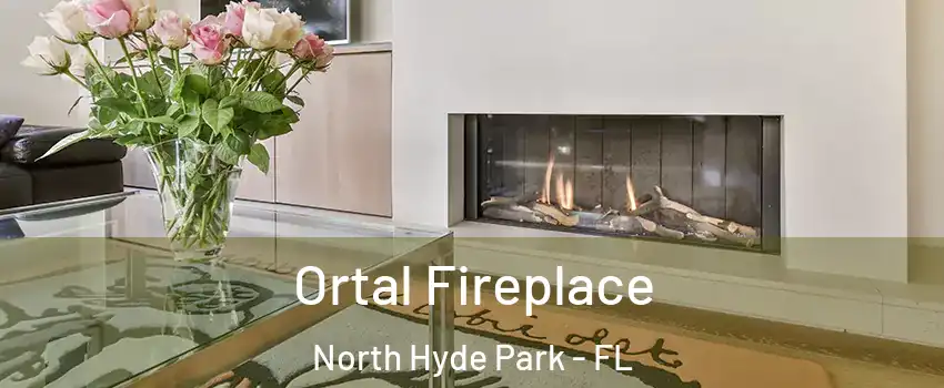 Ortal Fireplace North Hyde Park - FL