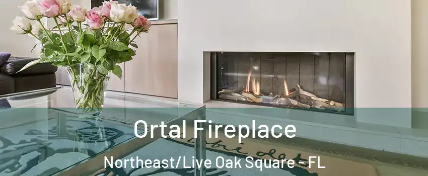 Ortal Fireplace Northeast/Live Oak Square - FL