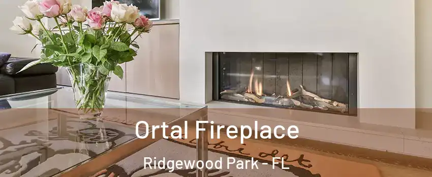 Ortal Fireplace Ridgewood Park - FL