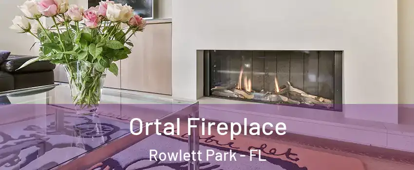 Ortal Fireplace Rowlett Park - FL