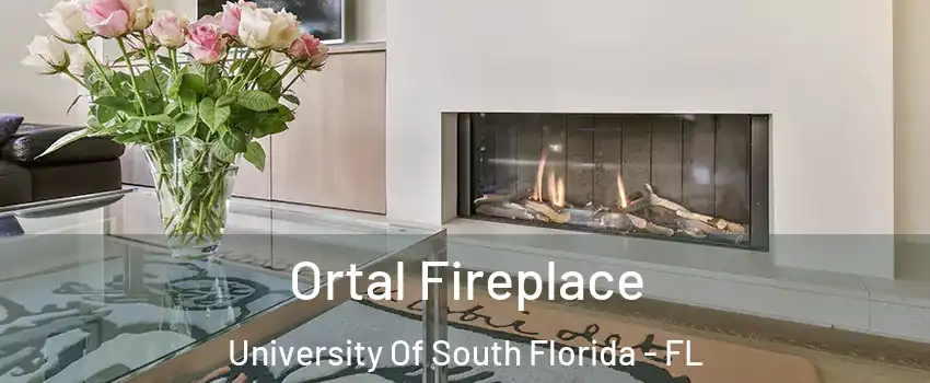 Ortal Fireplace University Of South Florida - FL