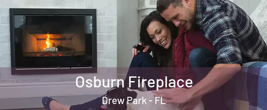 Osburn Fireplace Drew Park - FL