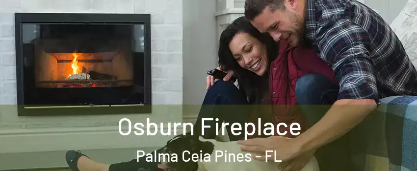 Osburn Fireplace Palma Ceia Pines - FL