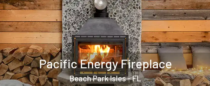 Pacific Energy Fireplace Beach Park Isles - FL
