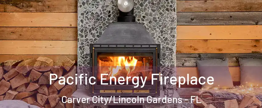 Pacific Energy Fireplace Carver City/Lincoln Gardens - FL