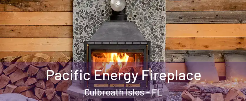 Pacific Energy Fireplace Culbreath Isles - FL