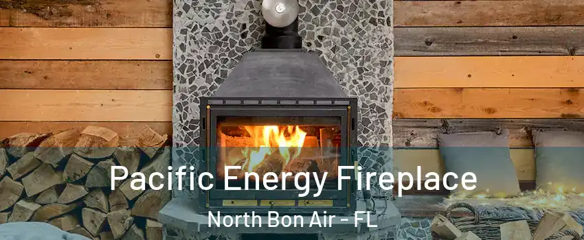 Pacific Energy Fireplace North Bon Air - FL