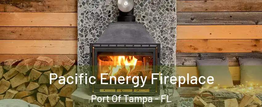 Pacific Energy Fireplace Port Of Tampa - FL