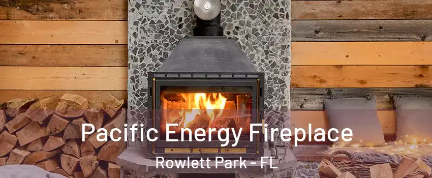 Pacific Energy Fireplace Rowlett Park - FL