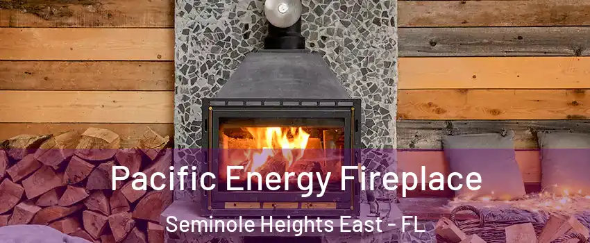 Pacific Energy Fireplace Seminole Heights East - FL