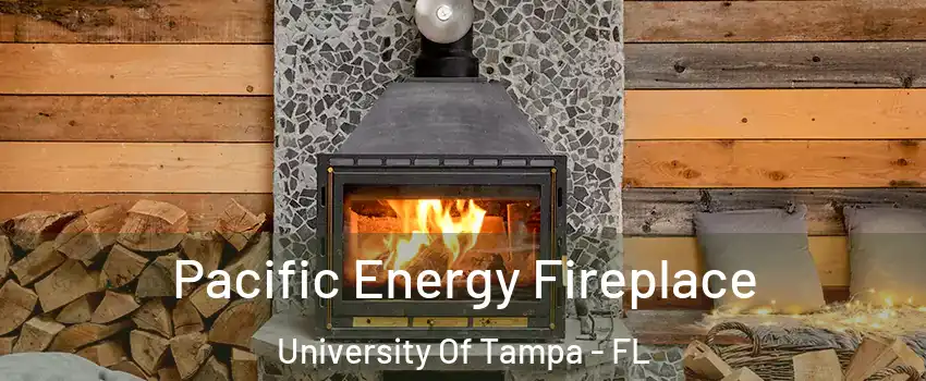 Pacific Energy Fireplace University Of Tampa - FL