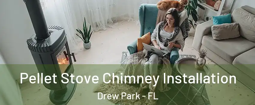 Pellet Stove Chimney Installation Drew Park - FL
