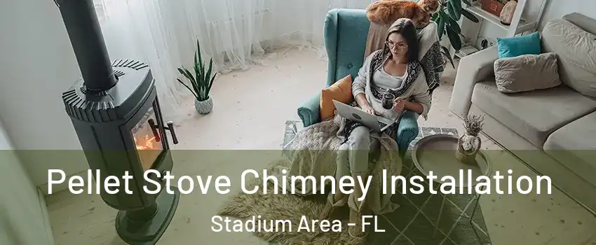 Pellet Stove Chimney Installation Stadium Area - FL