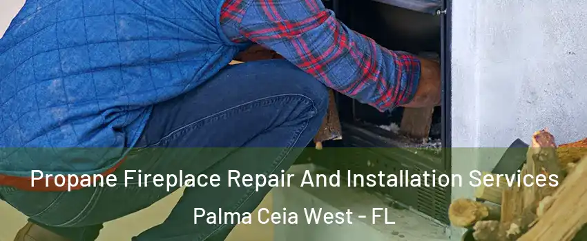 Propane Fireplace Repair And Installation Services Palma Ceia West - FL