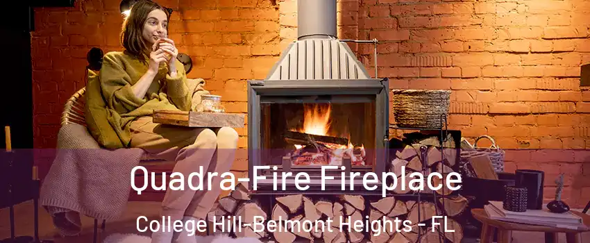 Quadra-Fire Fireplace College Hill-Belmont Heights - FL