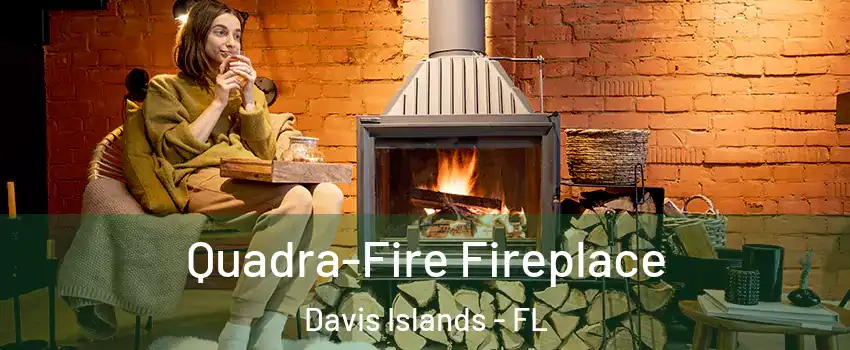 Quadra-Fire Fireplace Davis Islands - FL