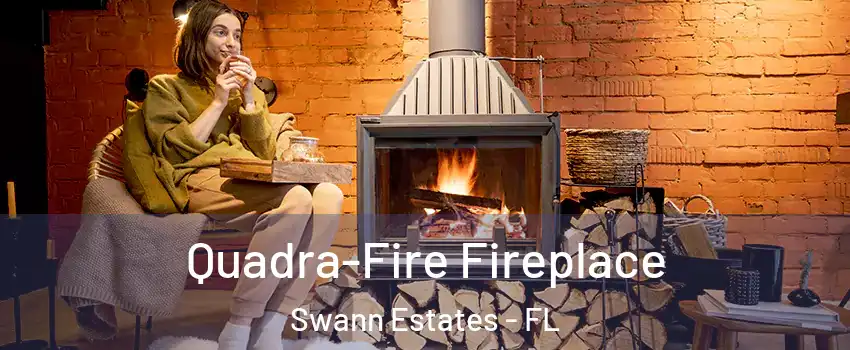 Quadra-Fire Fireplace Swann Estates - FL