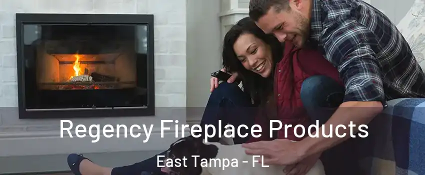 Regency Fireplace Products East Tampa - FL