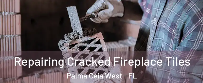 Repairing Cracked Fireplace Tiles Palma Ceia West - FL