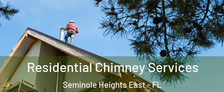 Residential Chimney Services Seminole Heights East - FL