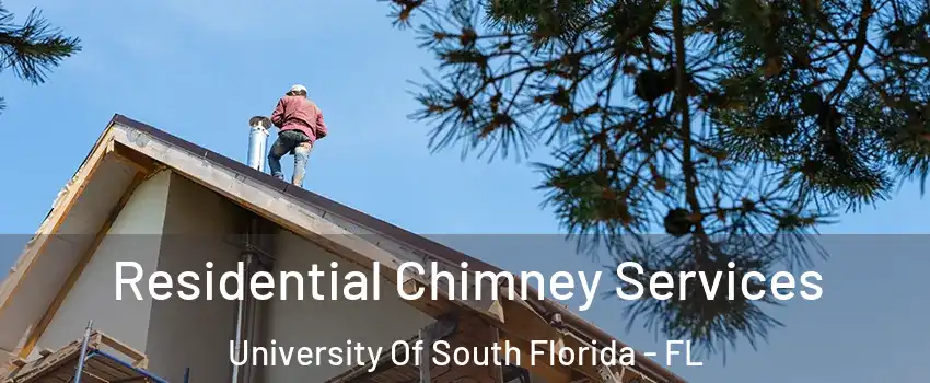Residential Chimney Services University Of South Florida - FL