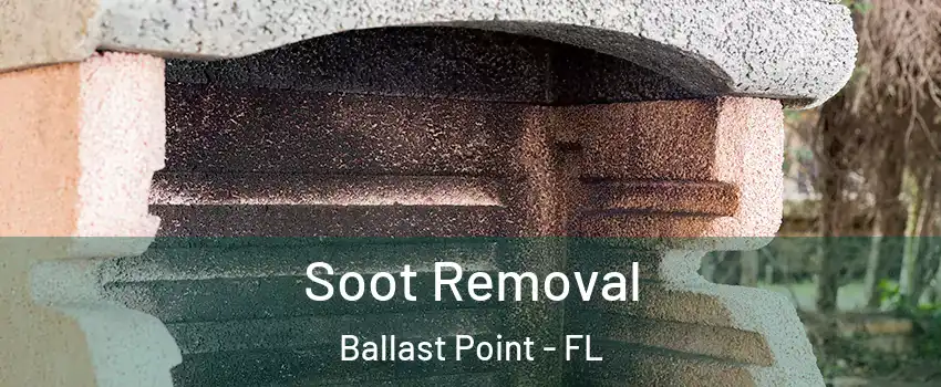 Soot Removal Ballast Point - FL