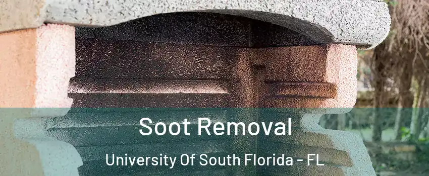 Soot Removal University Of South Florida - FL