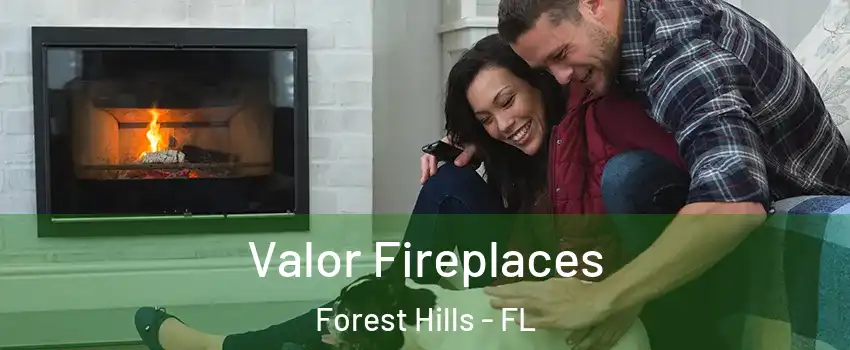 Valor Fireplaces Forest Hills - FL