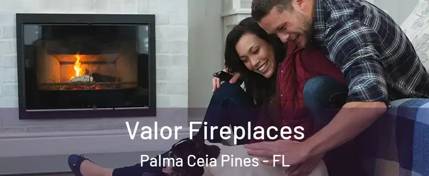 Valor Fireplaces Palma Ceia Pines - FL
