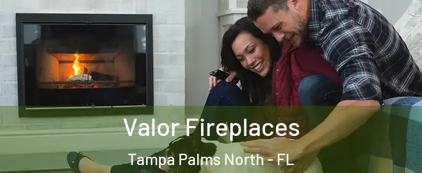 Valor Fireplaces Tampa Palms North - FL