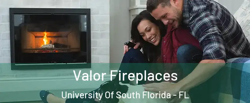 Valor Fireplaces University Of South Florida - FL