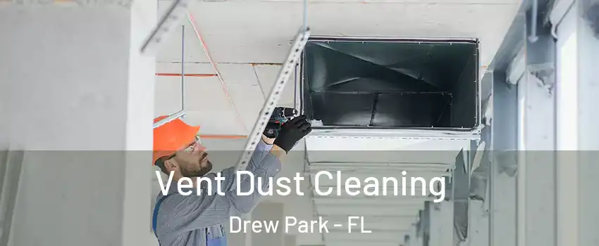 Vent Dust Cleaning Drew Park - FL
