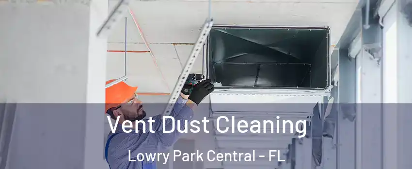 Vent Dust Cleaning Lowry Park Central - FL