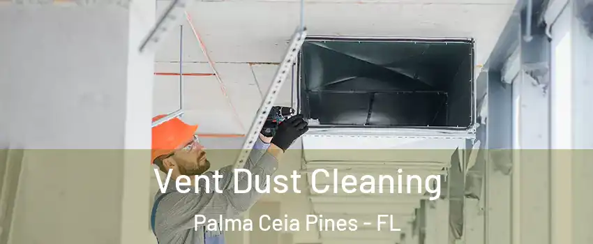 Vent Dust Cleaning Palma Ceia Pines - FL