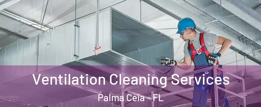 Ventilation Cleaning Services Palma Ceia - FL